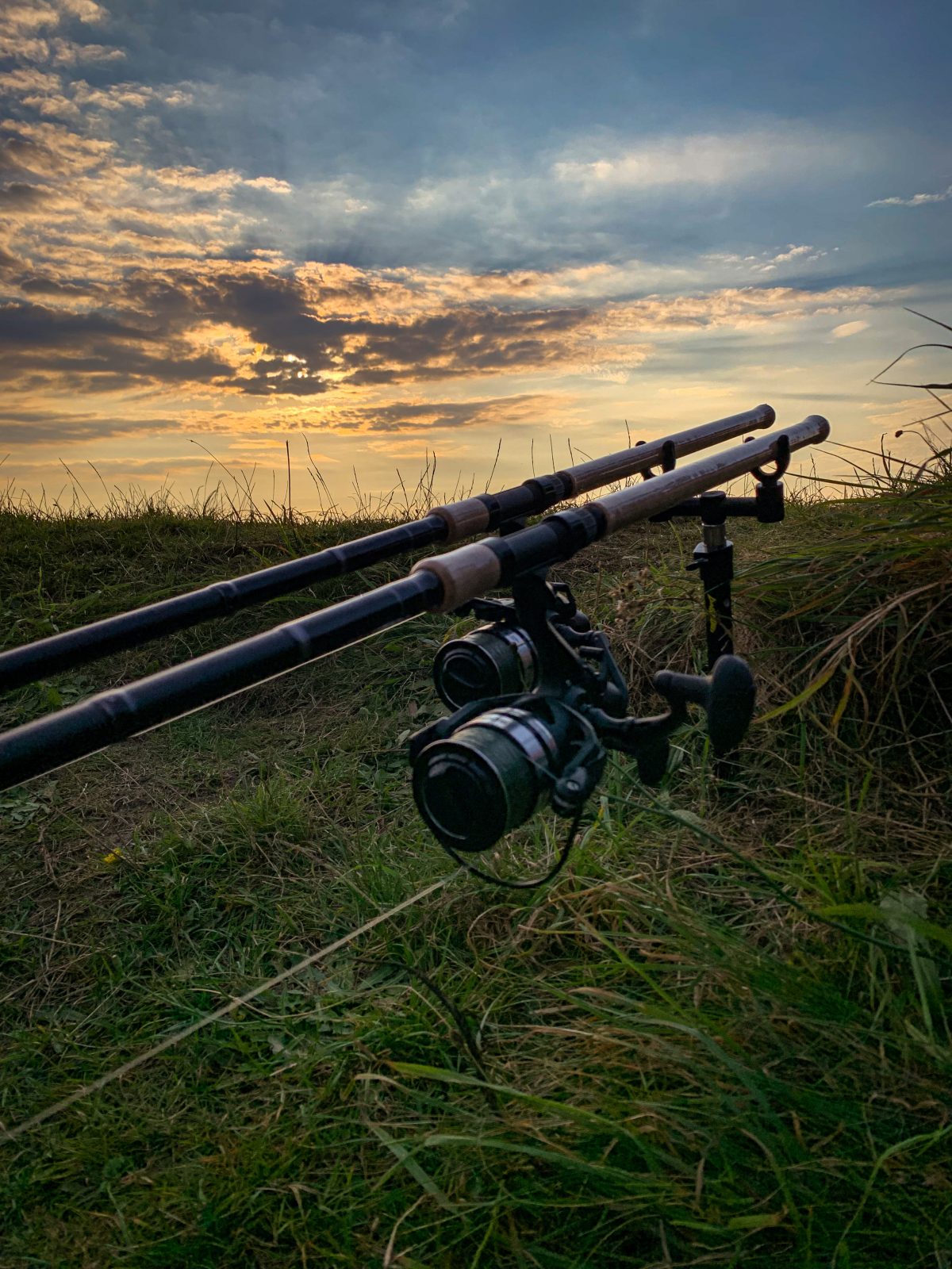 Carp fishing rods at sunset